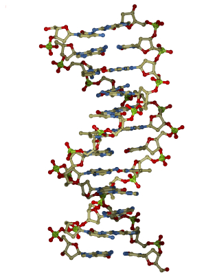 bioinformatics scholarships