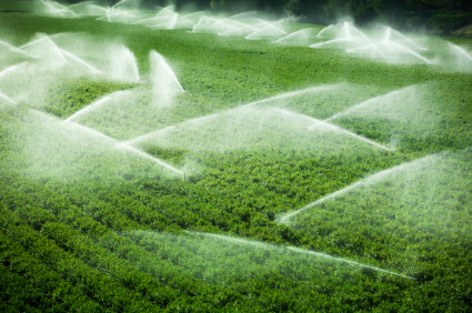 agronomy scholarships