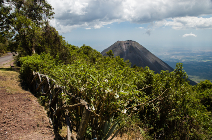 el salvador scholarships