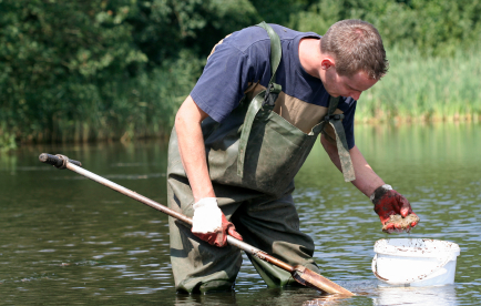 environmental grants