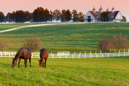 kentucky scholarships