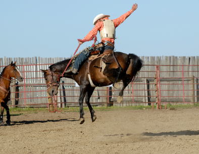 rodeo scholarships