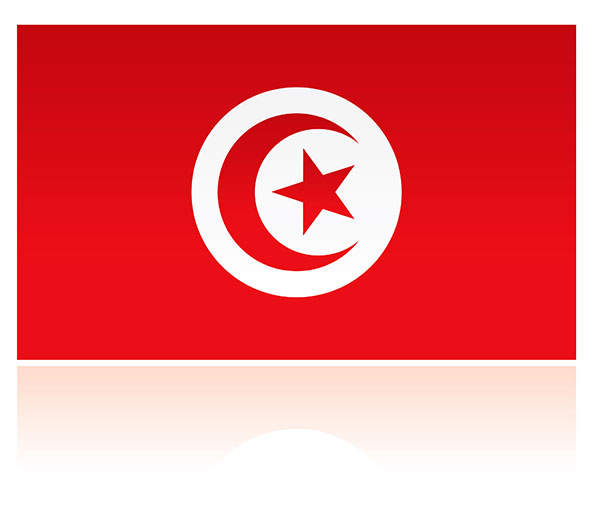 tunisia scholarships